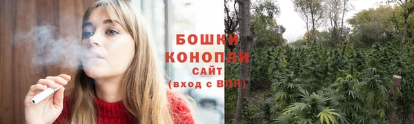 прущие крисы Мегион