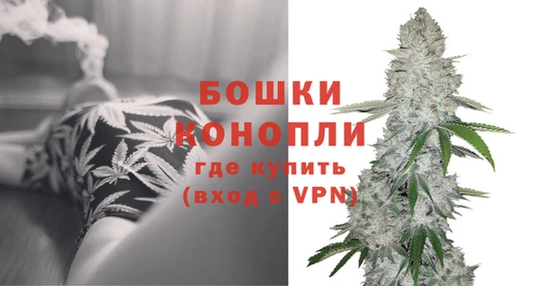 прущие крисы Мегион