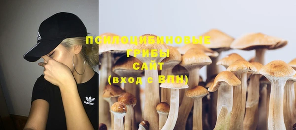прущие крисы Мегион
