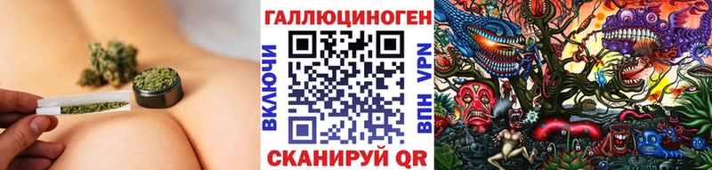 Купить  Суворов  Галлюциногенные грибы Psilocybine cubensis 